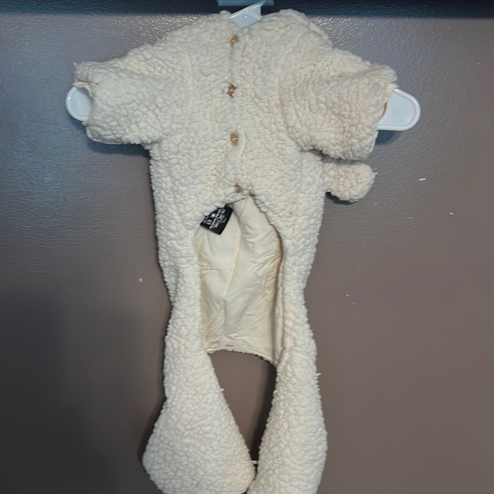Ugg Small Dog Sherpa Jacket with Detachable Hood